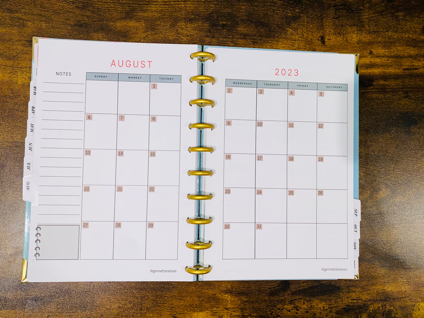 Disc Bound: 12 Month, Daily, Weekly Business Action Planner